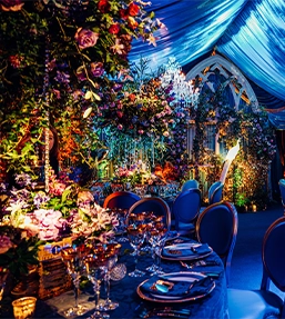 Luxury party