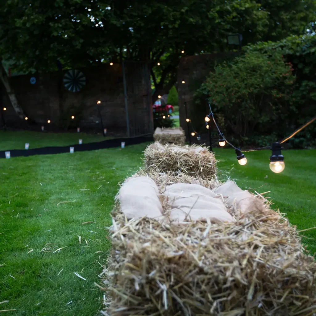 Festoon lighting