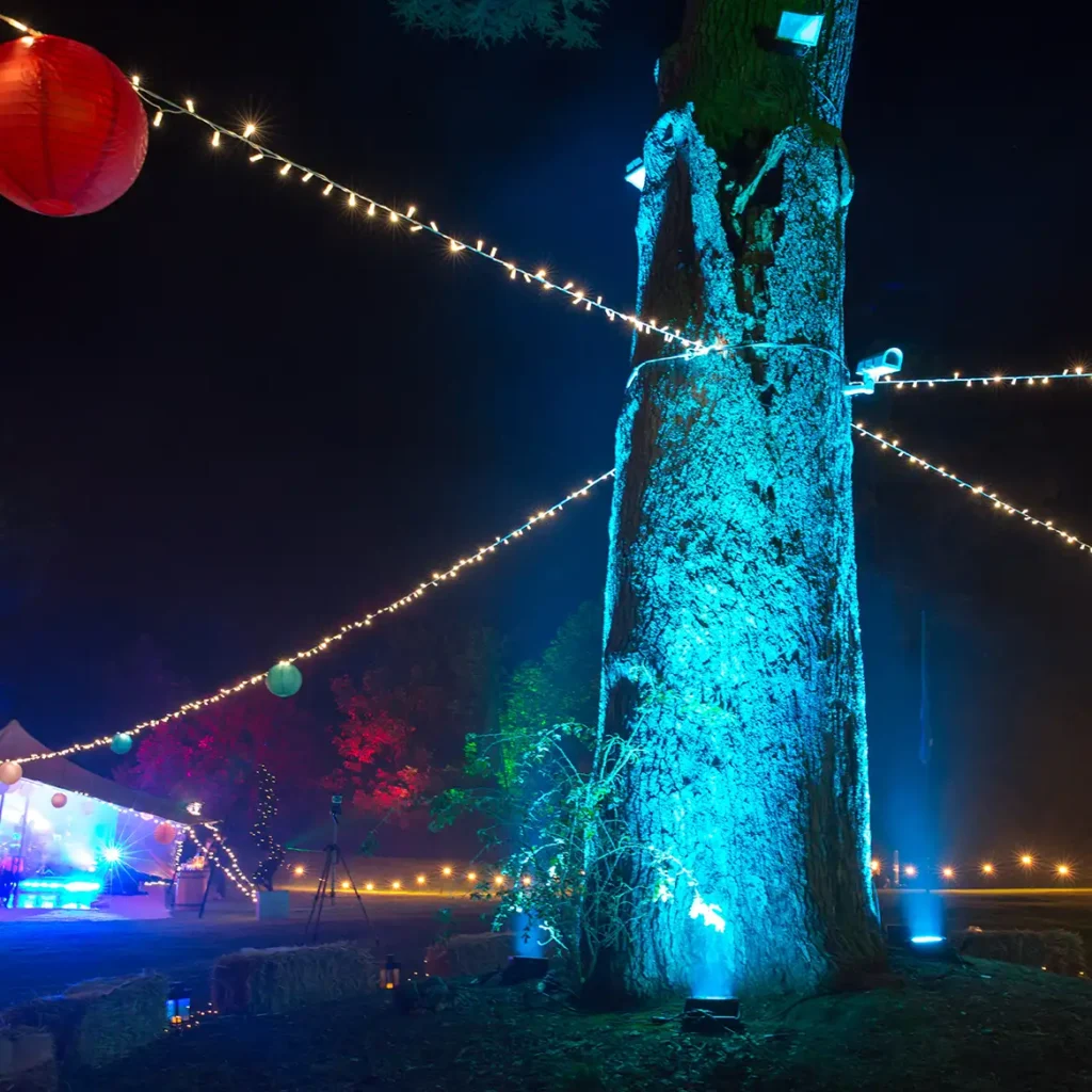 Wash lights on tree