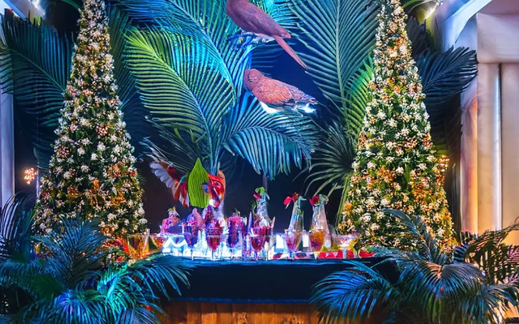 Tropical christmas trees and drinks