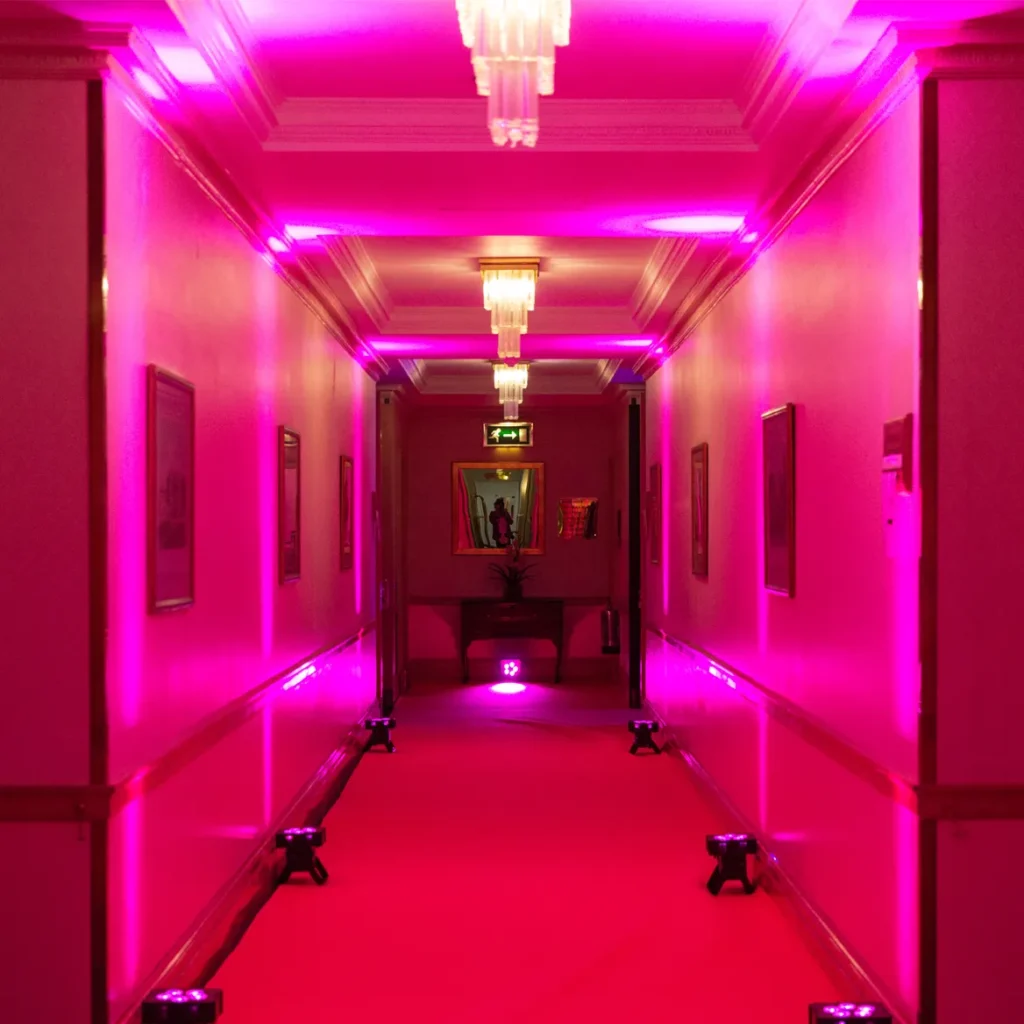 Pink VIP carpet