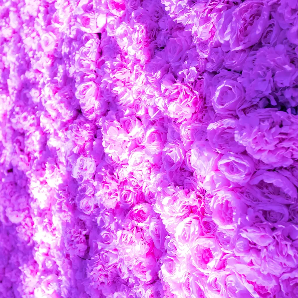 flower wall