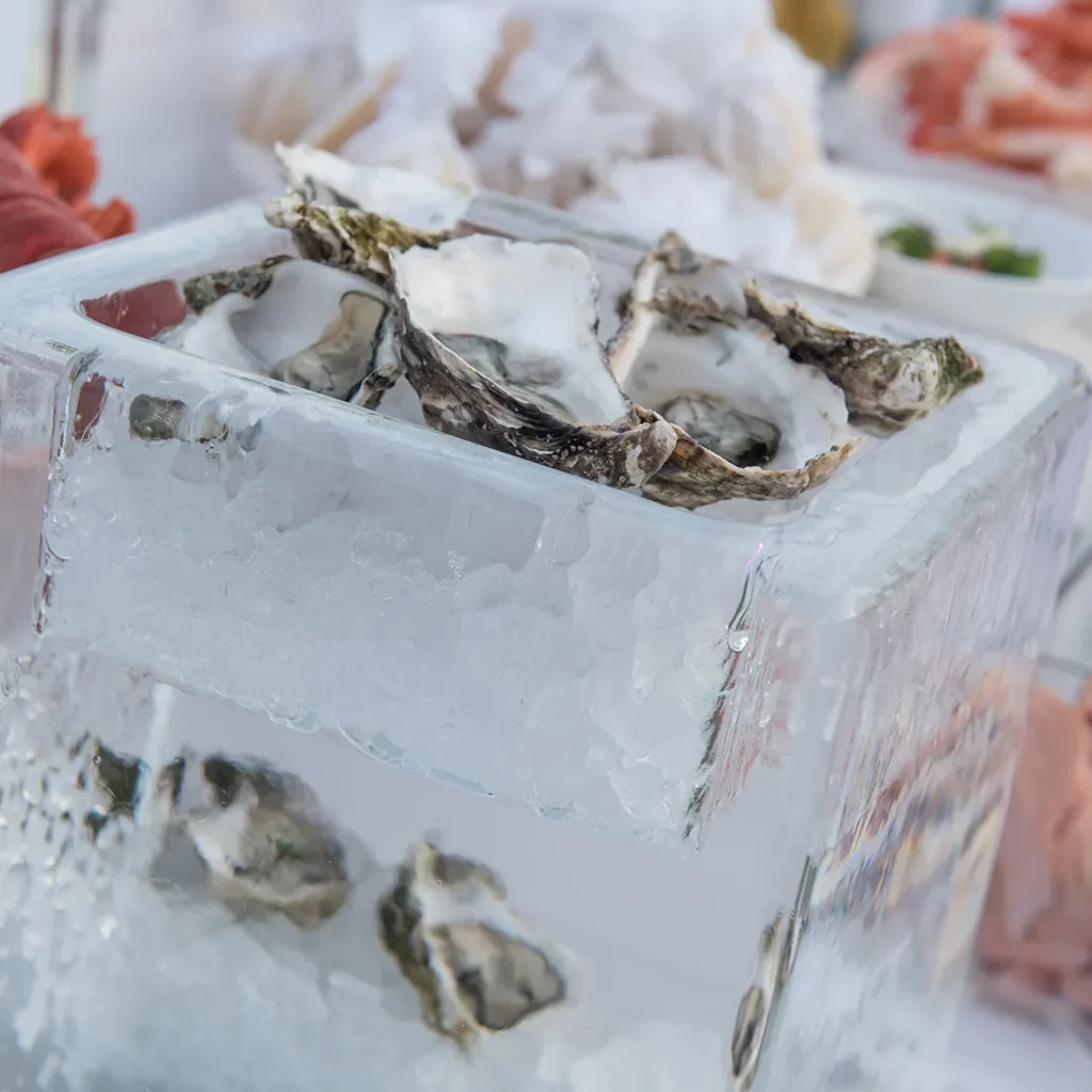 Oysters