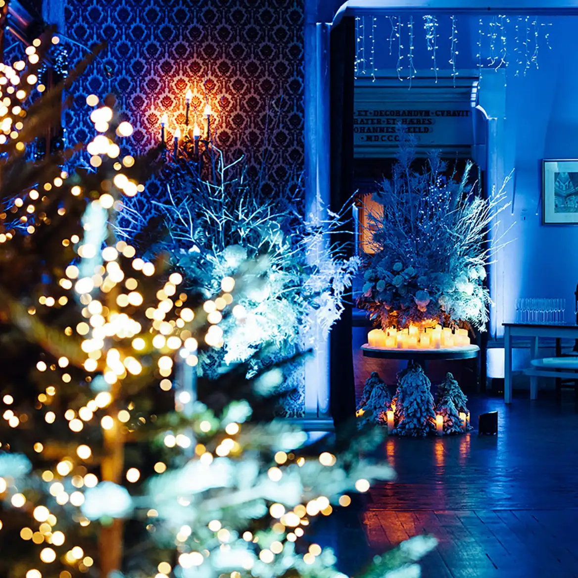 Christmas Winter Wonderland