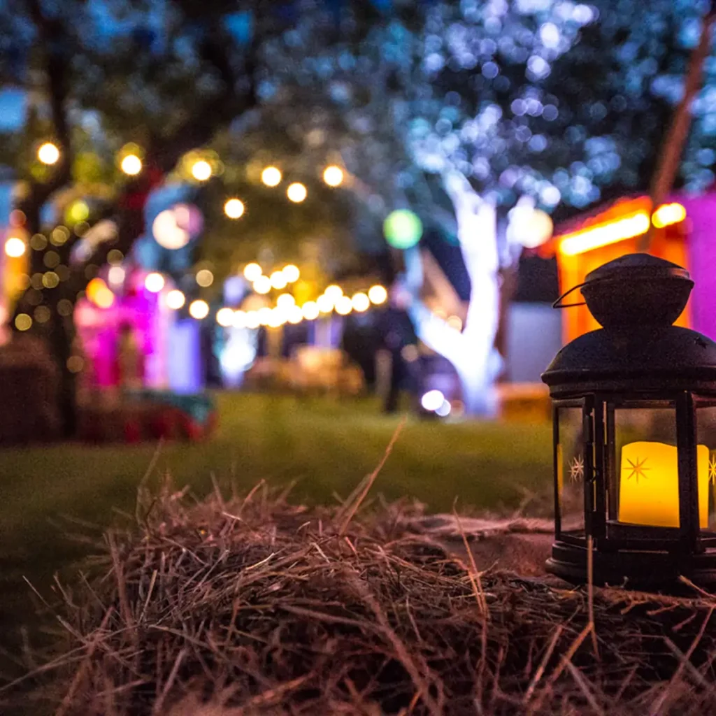 Festoon lighting