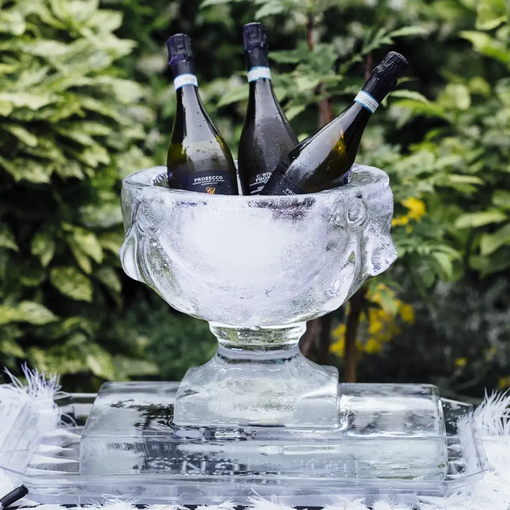 Champagne ice bucket