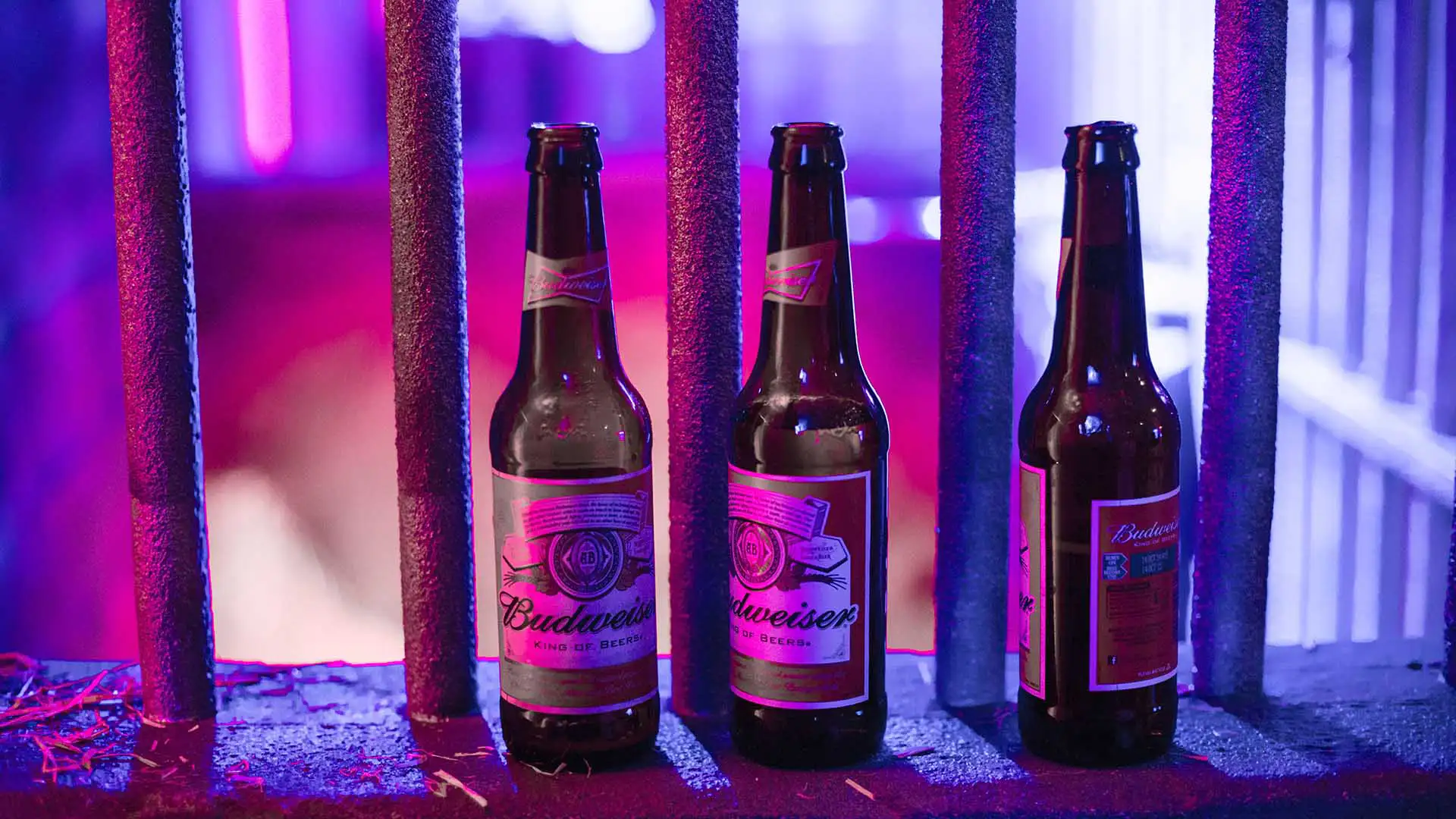 Beers in Jail