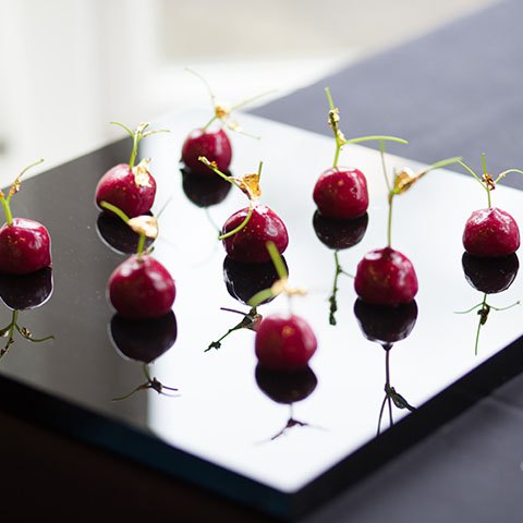 Wedding reception dinner cherry inspired immersive canapes