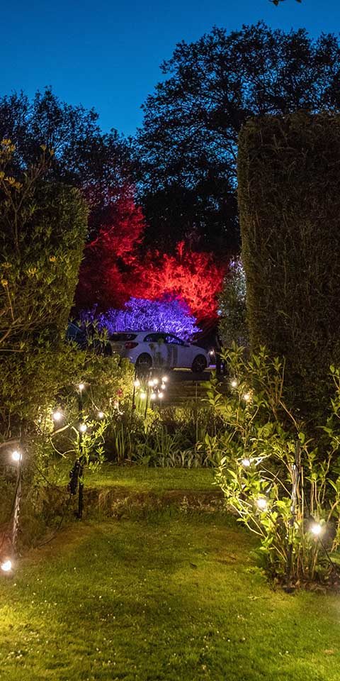 Wedding anniversary garden lighting event production