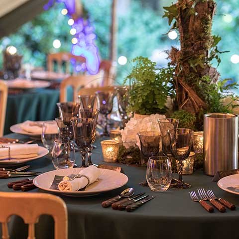 Midsummer nights dream themed party table decor