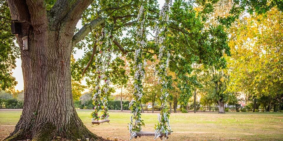 Tree swing