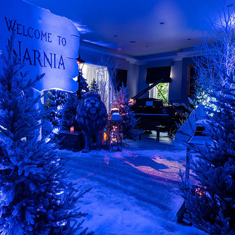 Christmas party Narnia theme