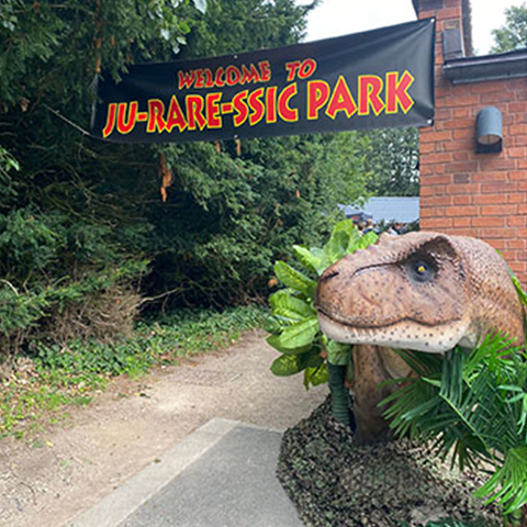 Jurassic Park Summer Event - 061 - COPY